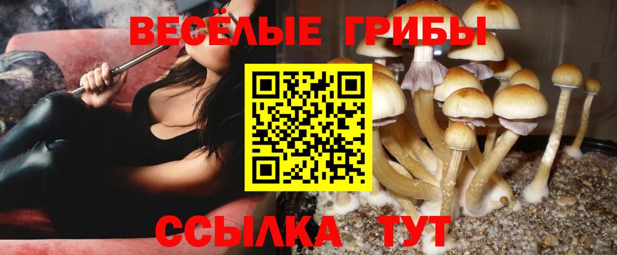 Мегион  Галлюциногенные грибы GOLDEN TEACHER  Псилоцибиновые грибы мухоморы  Вход с VPN 